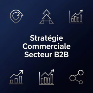 Stratégie Commerciale Secteur B2B