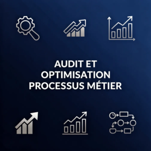 Audit et Optimisation Processus Métier